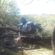 Illustration for article titled Woman Survives In Arizona Desert For Six Days After Crashing Into Tree
